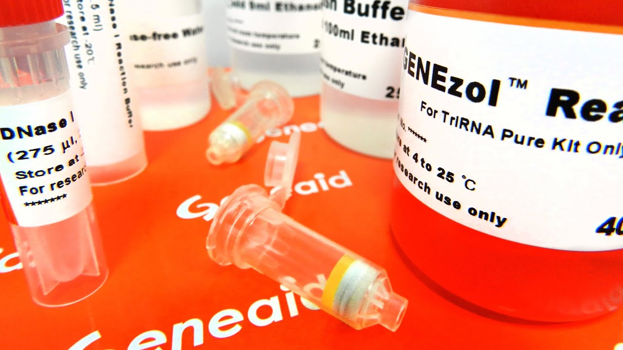 RNA Extraction Kit