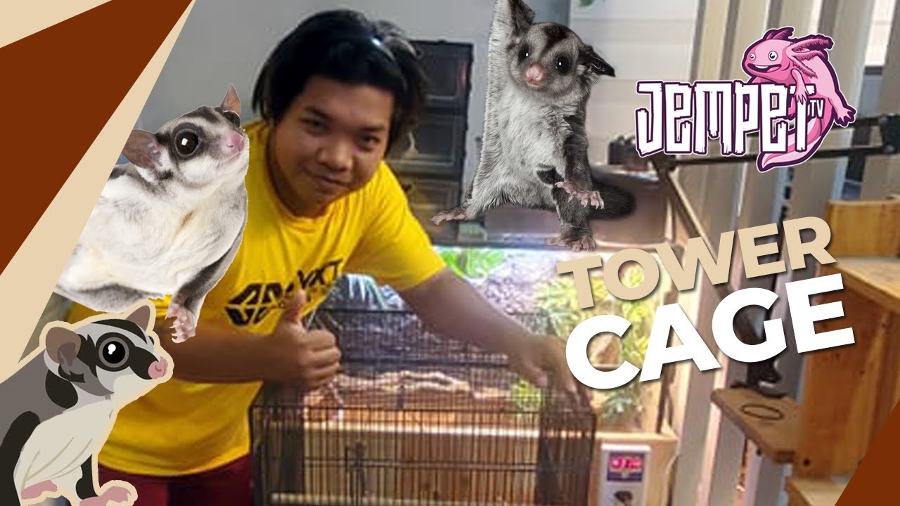 Setting up my Sugar Glider Cage (Jempet TV)