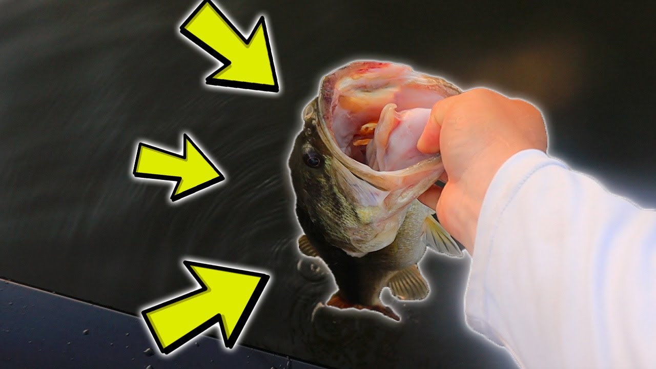 Fishing Lake O' The Pines For BIG Bass - Ft Dudes Outdoors