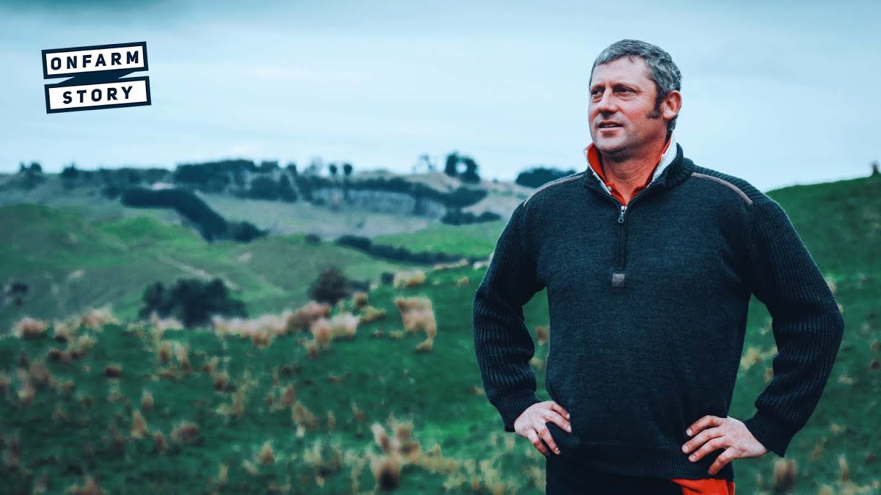Sheep and Beef Farm – Telling New Zealand’s Positive Farming Story | On Farm Story