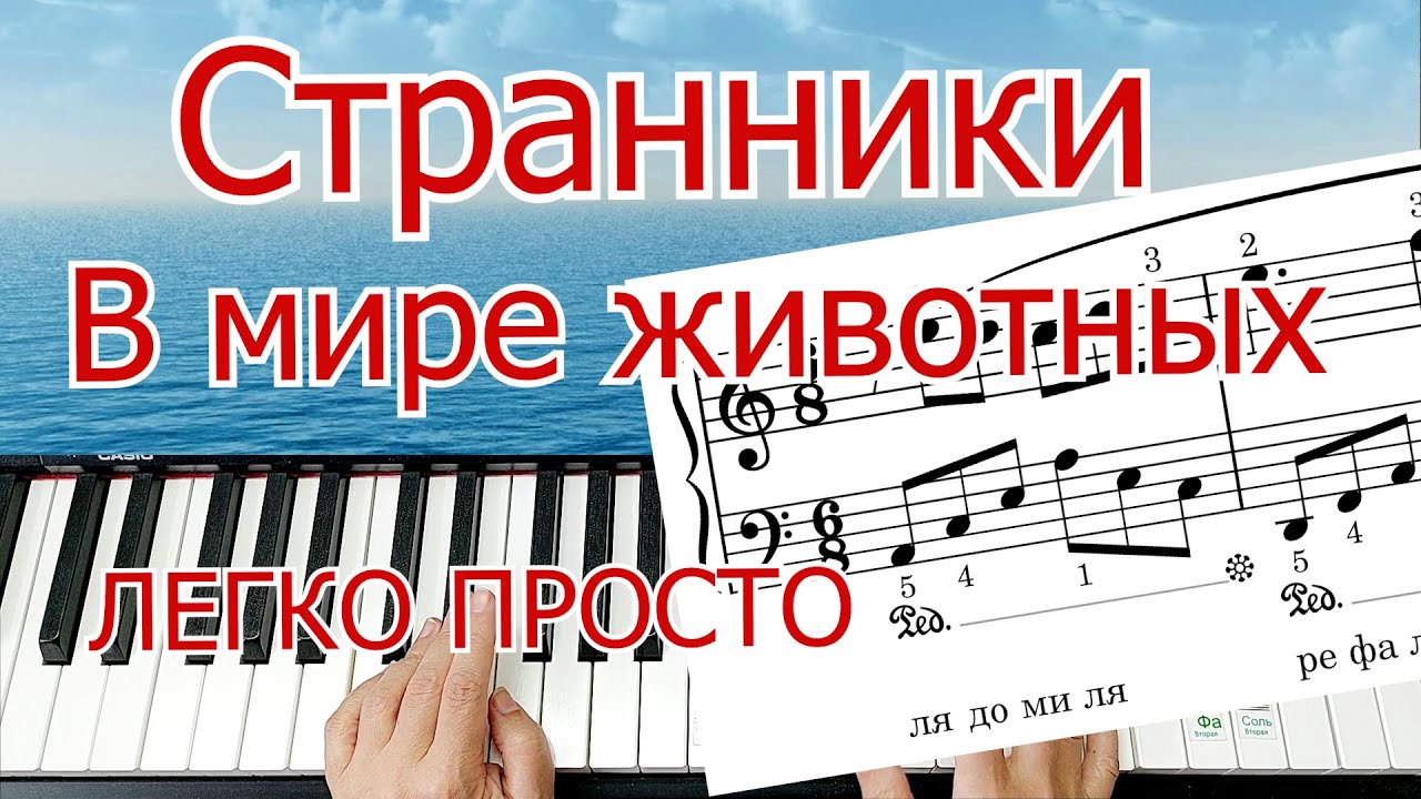 Странники Рамирес В Мире Животных ЛЕГКИЙ ВАРИАНТ Ramirez The Wanderers+НОТЫ