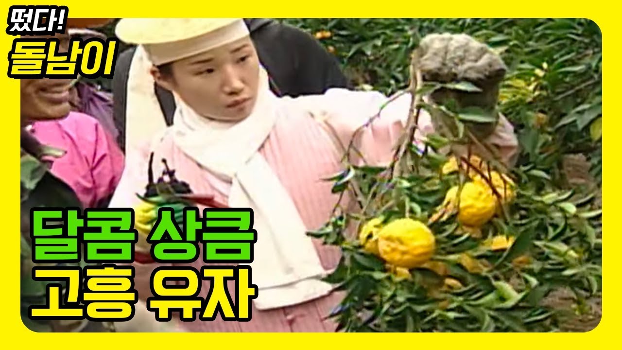 올 겨울 감기 걱정은 뚝~ 노오란 고흥 유자 [떴다돌남이]