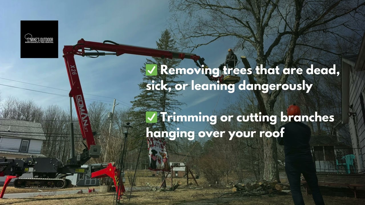 Tree Cutting in Monticello, NY | Mike’s Outdoor Maintenance & Tree Removal