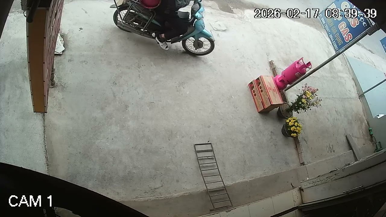 Mùng một tốt ngày em mở hàng rồi ah. Năm mới em chúc mọi người mạnh khỏe bình an ạ 