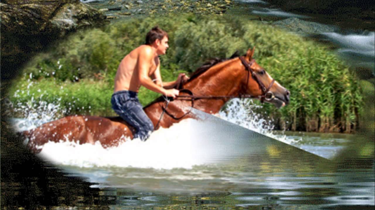 Любимый мой