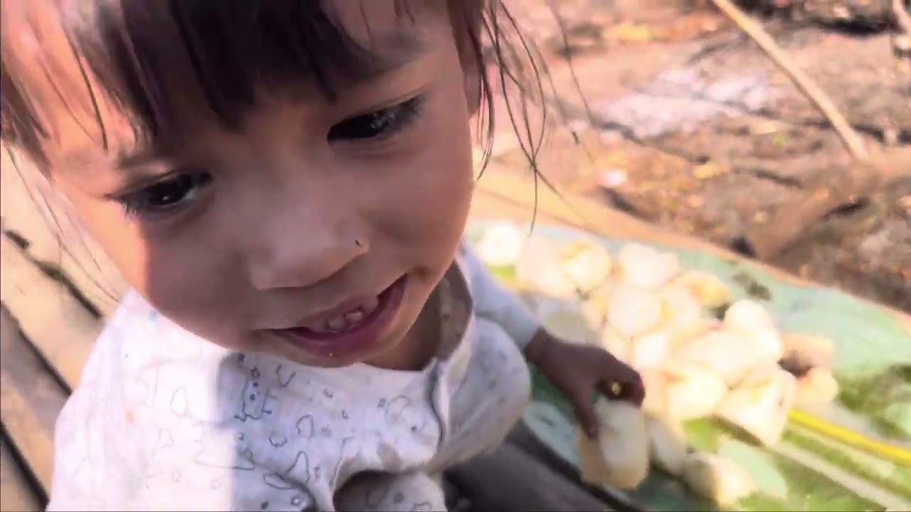 Mitthun at paddy field changnyu village father-in-law village #villagelife #dailyvlog 