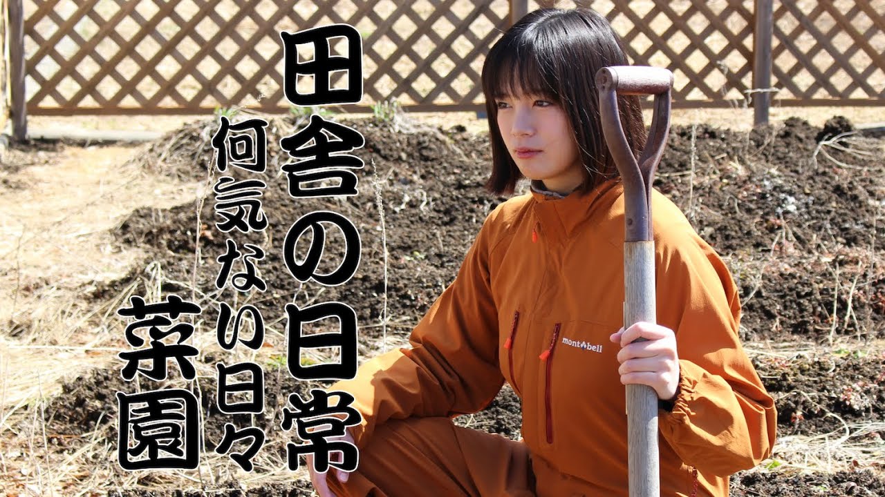畑の準備開始。　フキノトウ・天ぷら・おにぎり