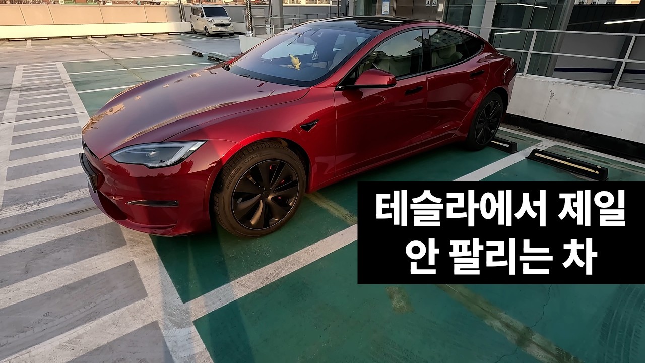 50일만에 모델 S를 다시 탔더니 너무 좋네요