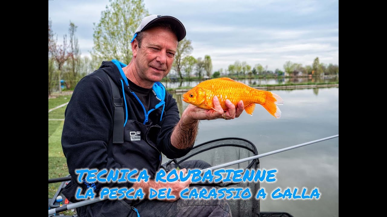 TECNICA ROUBASIENNE LA PESCA DEL CARASSIO A GALLA
