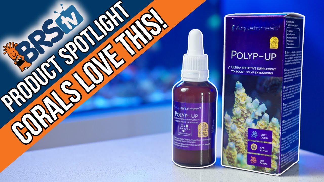 Aquaforest Polyp-Up Supercharges Coral Feeding!