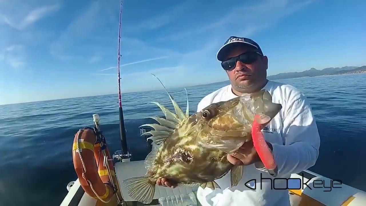 Pesca verticale con BLACK MINNOW e HOOK EYE