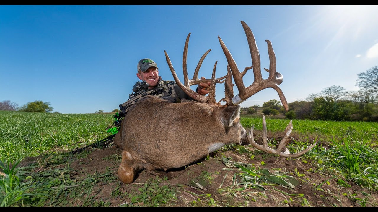 Bowhunting 