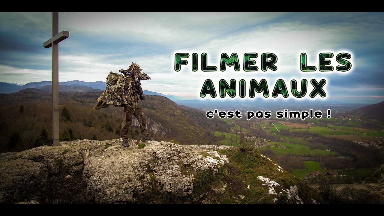 Je pars 4 JOURS observer la FAUNE en FORÊT !! 🔍🐗🦊