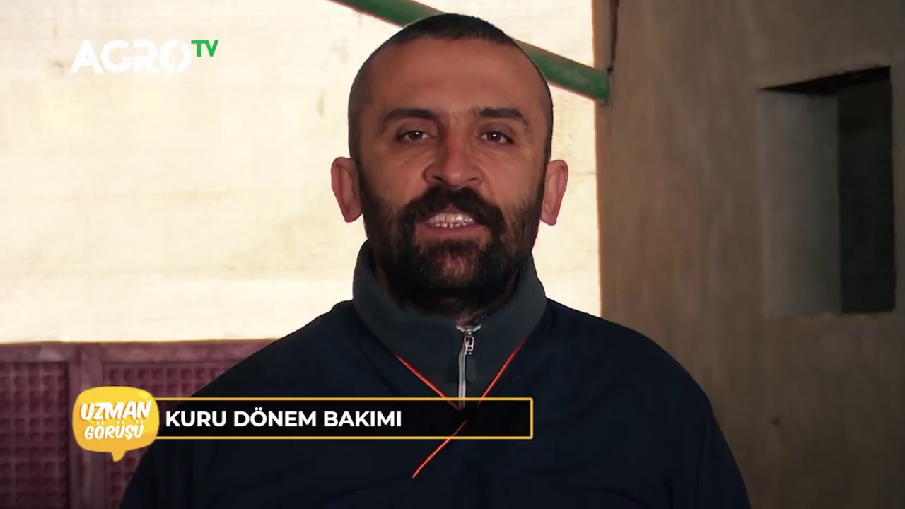 UZMAN GÖRÜŞÜ - Kuru Dönemde Besleme  AGRO TV 3