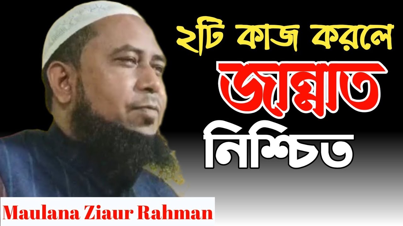 দুইটি কাজের দায়িত্ব নিলে জান্নাতের গ্যারান্টি | Maulana Ziaur Rahman | Bangla Waz || Mahmudia Media