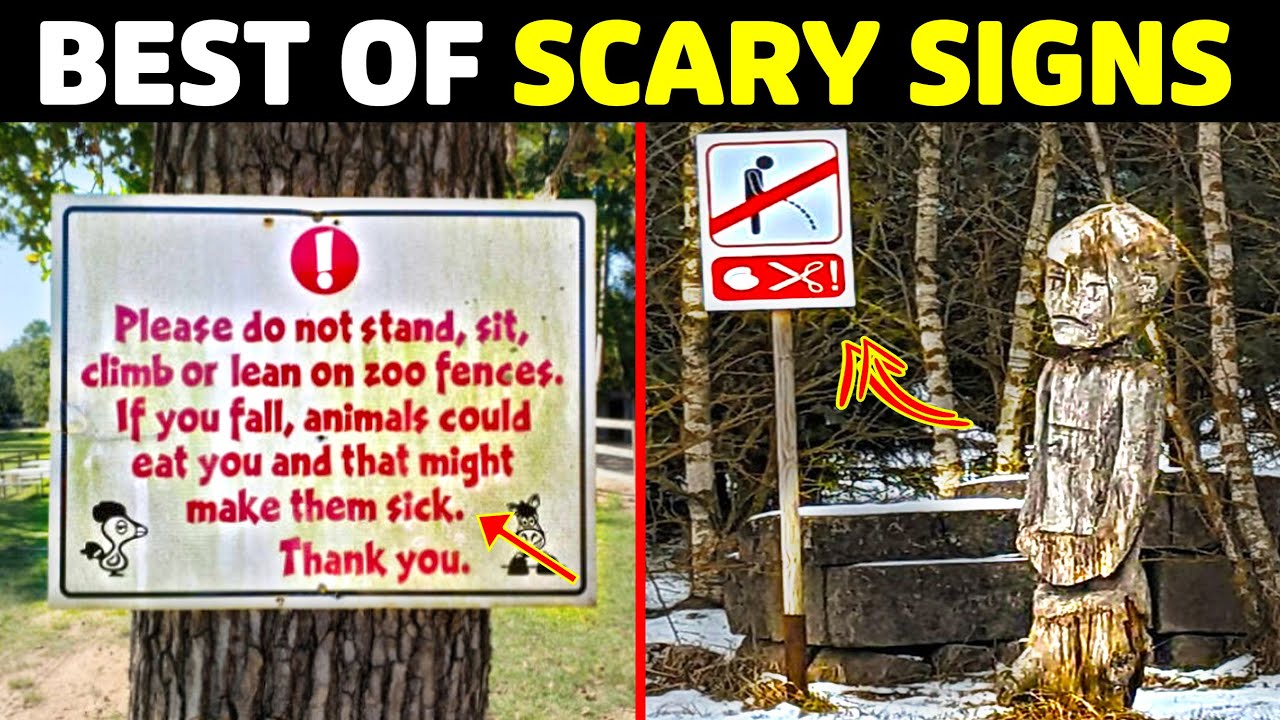 The Best of Oddly Terrifying Signs (Scary Signs)