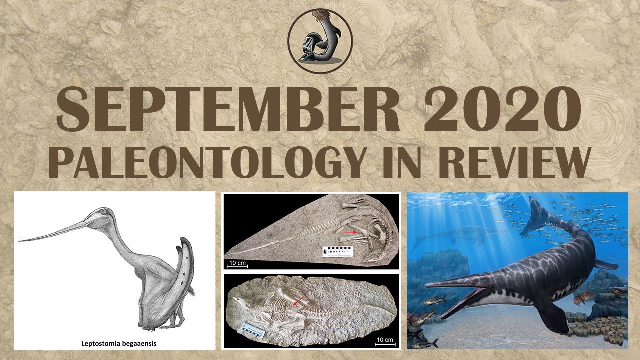 New Fossils and Paleontology- September 2020