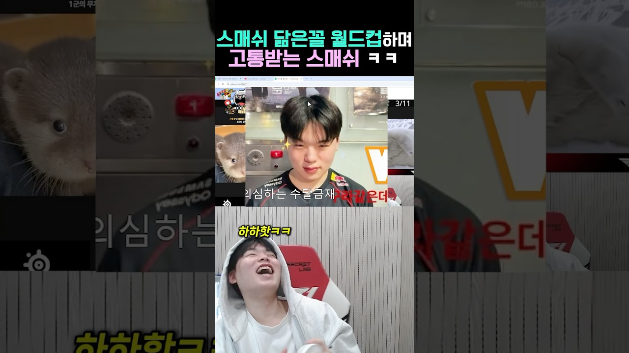 스매쉬 닮은꼴 월드컵하는 스매쉬