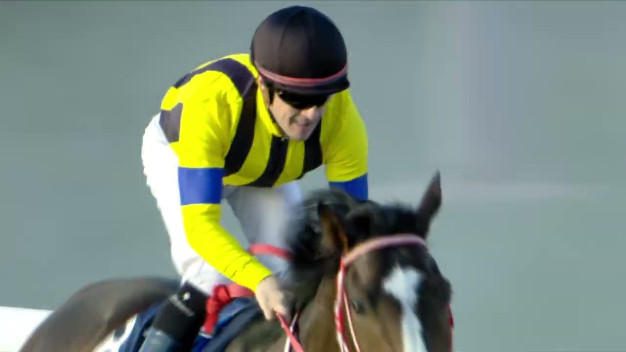 Race Replay: Red Sea Turf Handicap