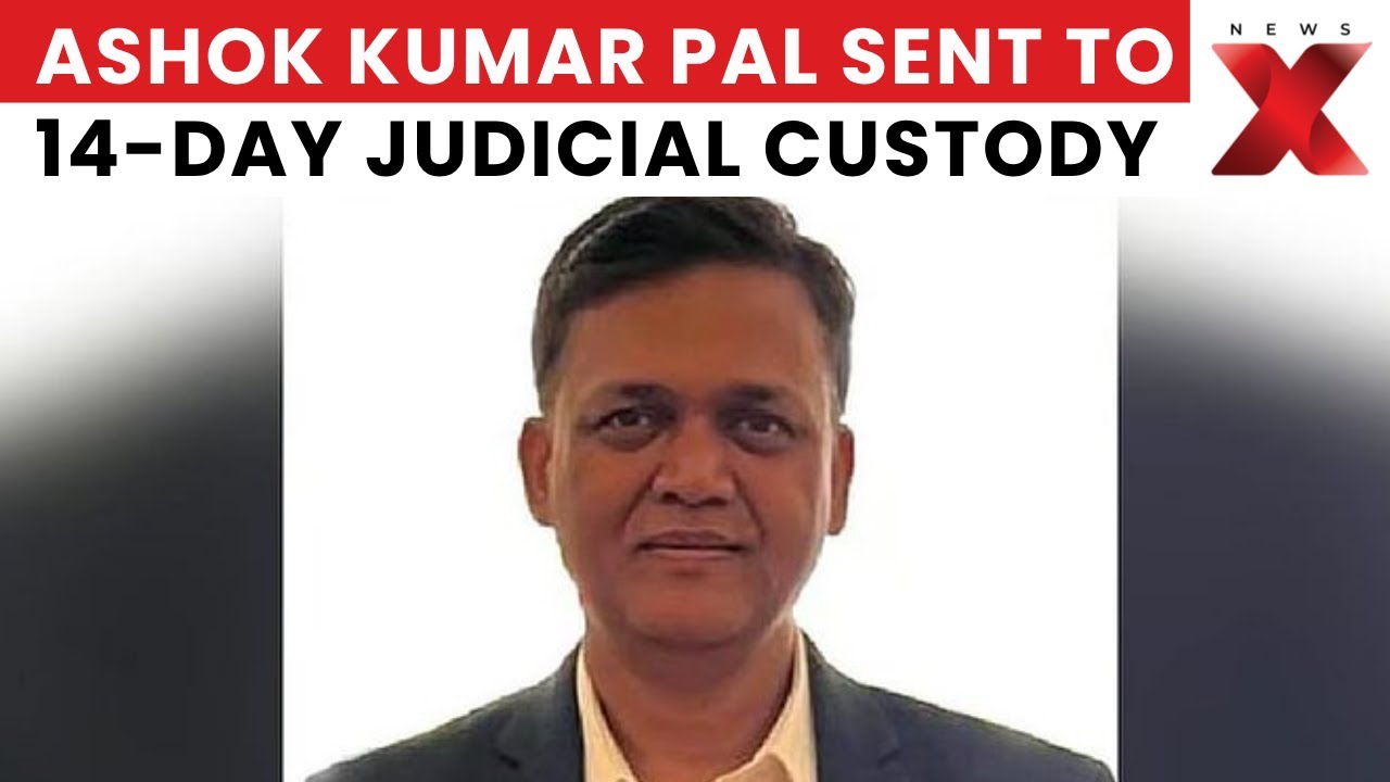 Former Reliance Power CFO Ashok Kumar Pal Sent To 14-Day Judicial Custody | ED Crackdown
