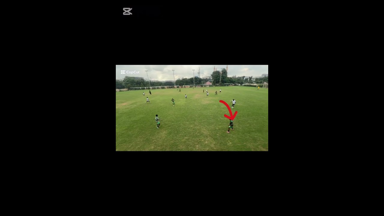 Tochukwu Ofor Highlights 