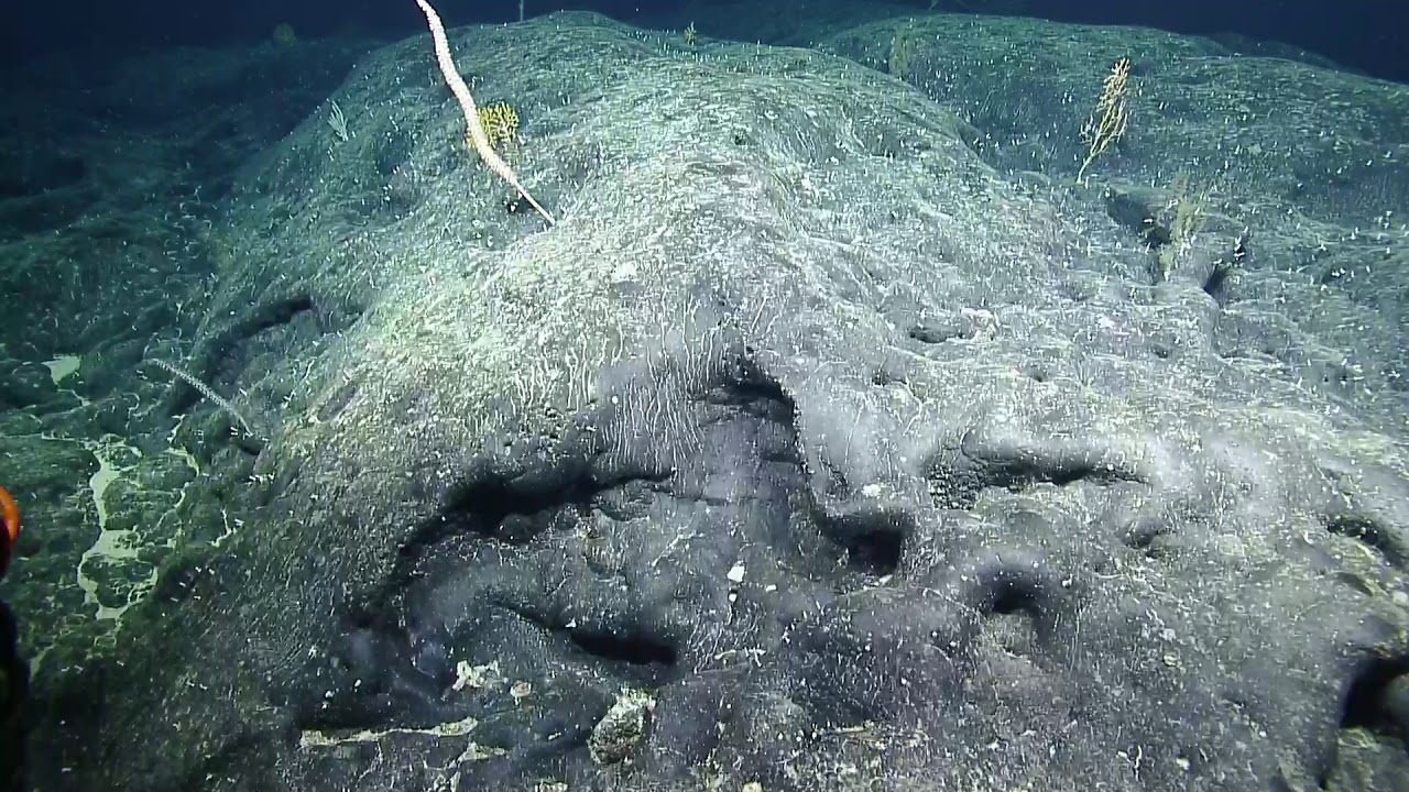 ROV Hercules Dive NA110-H1758-20190630T1337UTC-68
