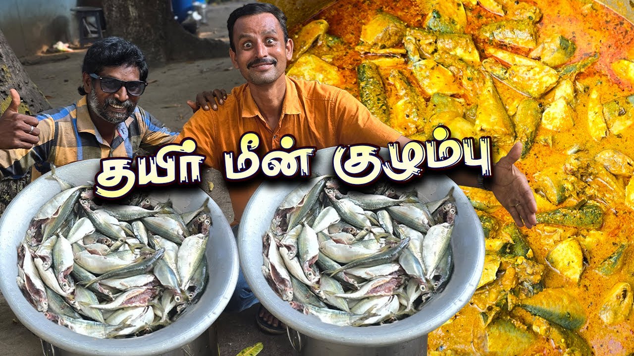 தக்காளி புளி சேர்க்காத - தயிர் மீன் குழம்பு 🤤 |  Curd Fish Curry Recipe in Tamil