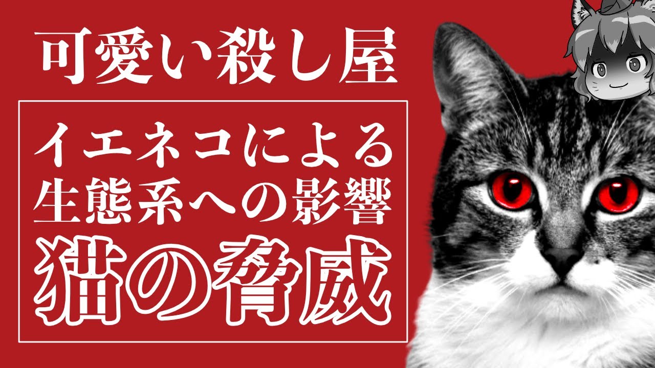 ネコは危険な外来種！？生態系を破壊する可愛いハンターの真実
