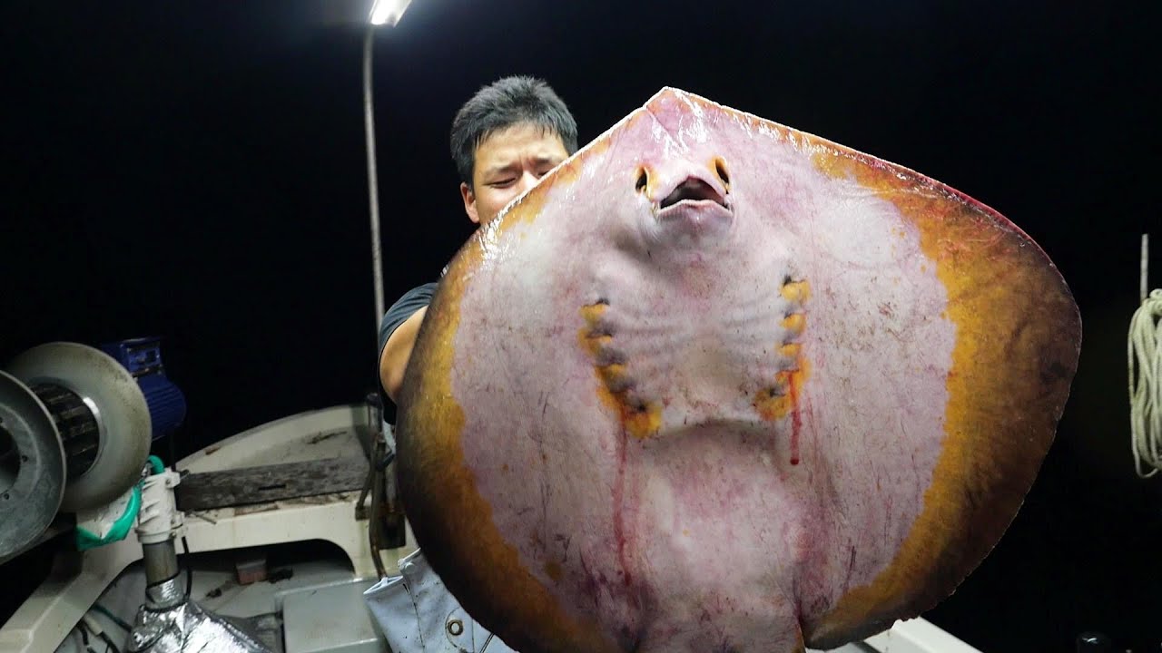 何気ない漁の様子。相変わらずエイが多いけどまさかの〇〇が増えた⁉︎