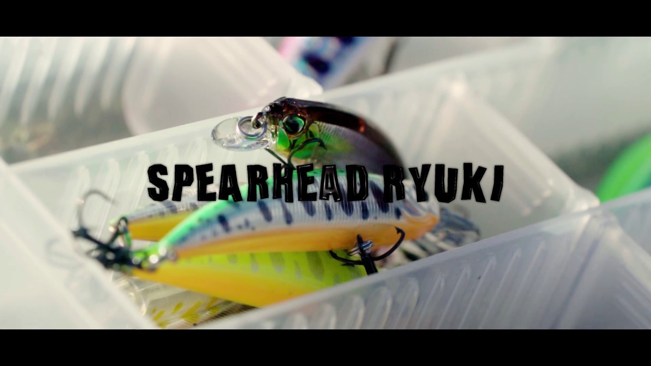 Spearhead Ryuki, the king of trout