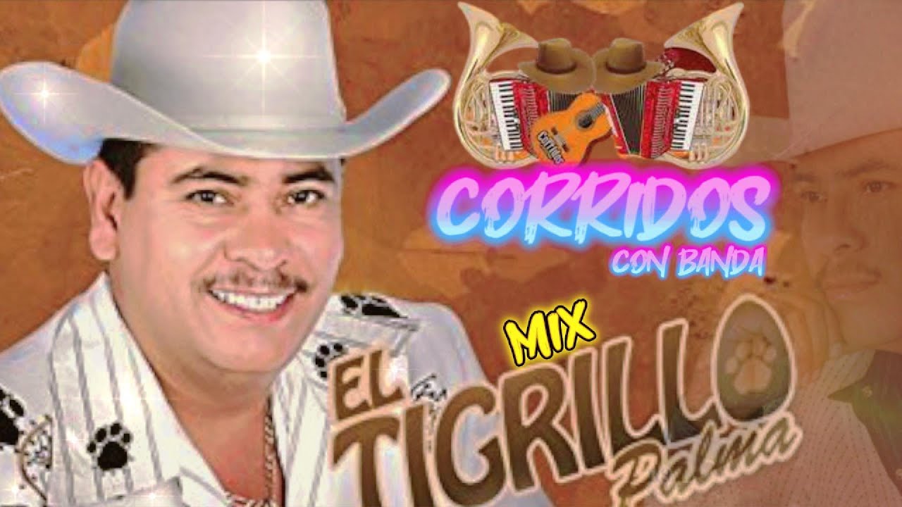 🎶 El Tigrillo Palma 🕺Corridos Perrones de Pura Calidad 💯 ¡Grandes Éxitos!