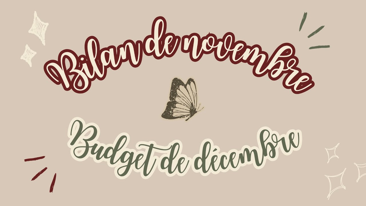🎄 BILAN de novembre et BUDGET de décembre