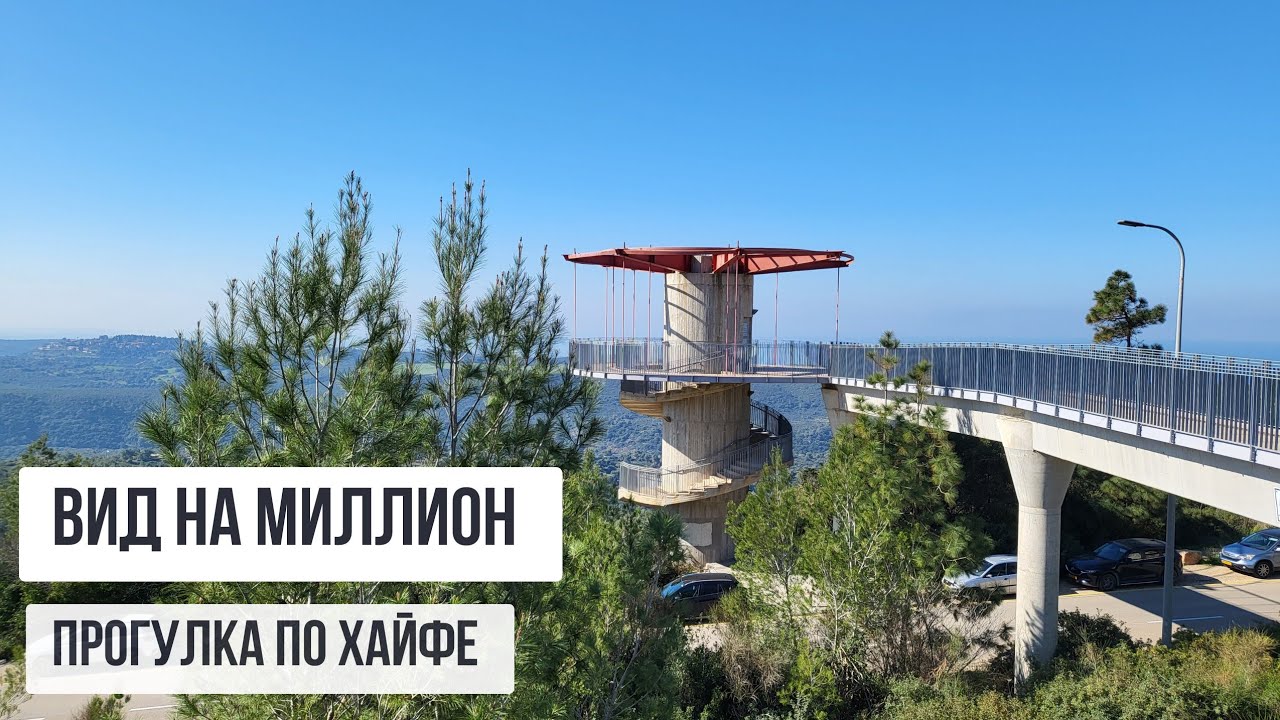 ГДЕ В ХАЙФЕ ОТЛИЧНО ПРОВЕСТИ ВЫХОДНОЙ. Прогулка возле университета. Красивые виды, первые цветы