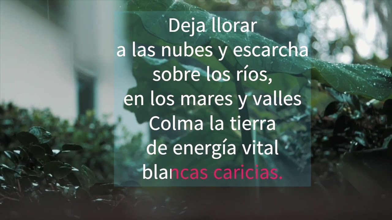 DANZA DE INVIERNO ‐