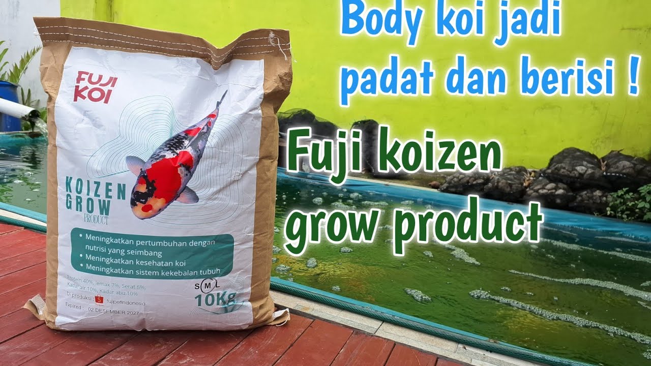 PAKAN PREMIUM ? CEK DULU ! Review pakan koi merk fuji koizen grow | Penghobi koi indramayu
