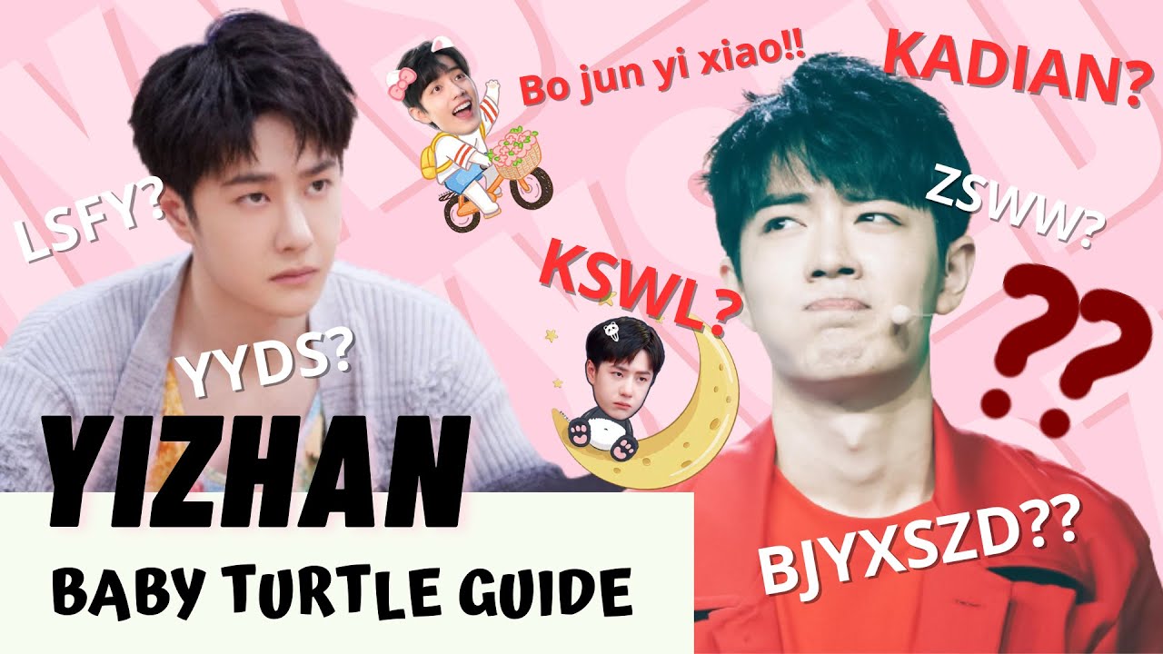[Yizhan] BABY TURTLE  🐢 GUIDE #bjyx