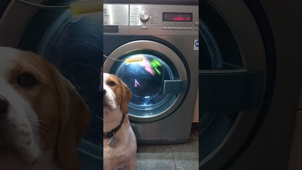 Electrolux my pro commercial washer.