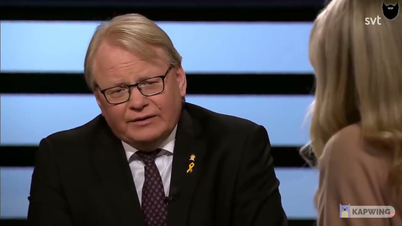 Peter Hultqvist - hur den djupa staten ska fungera