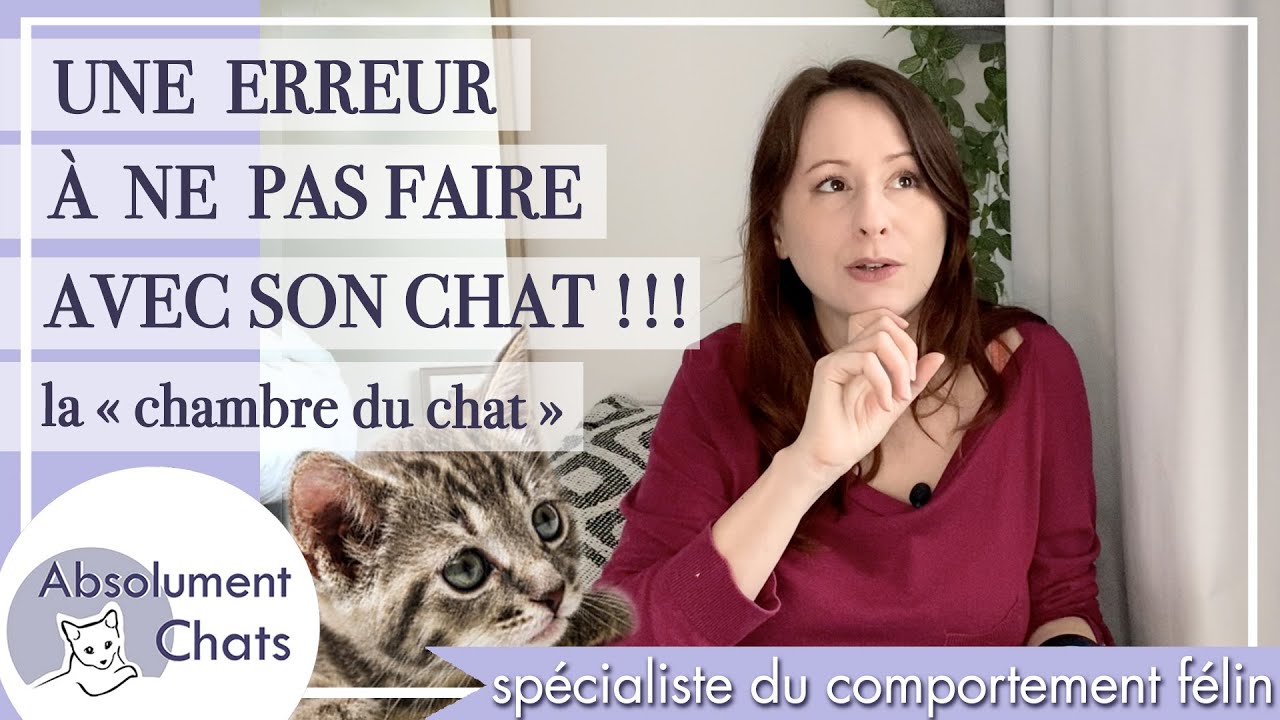 une erreur à ne pas faire avec son chat !!! la chambre du chat