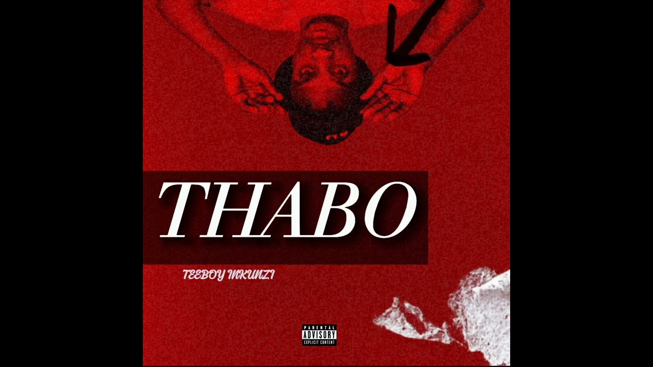 Teeboy Inkunzi - Thabo (Official Audio)