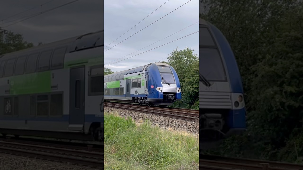 Croisement entre la 437C et la 449C ! 