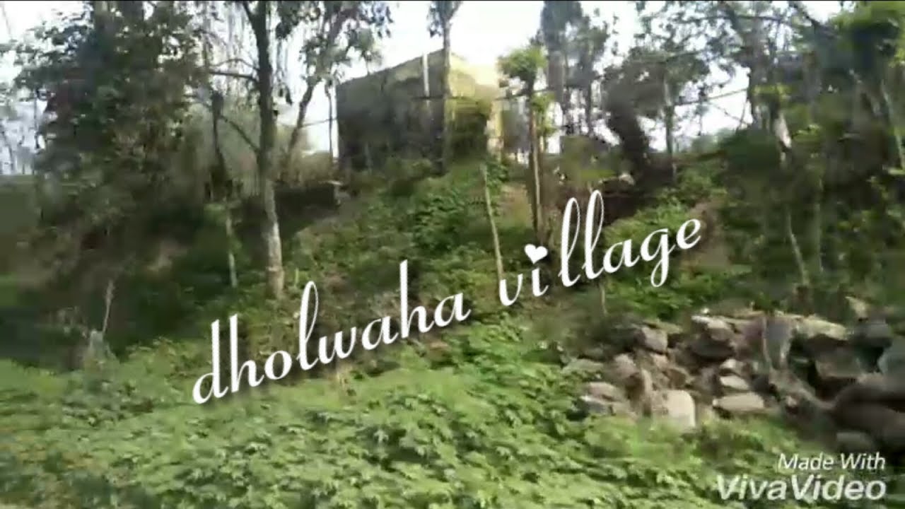 dholwaha village/hoshiarpur district