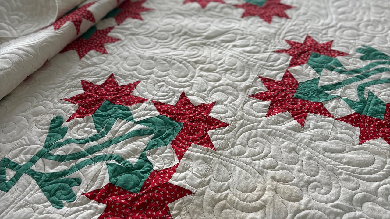 Peony quilt, Jelly Roll quilt, Corey Yoder Barn Star quilt, Tula Pink - Video 133