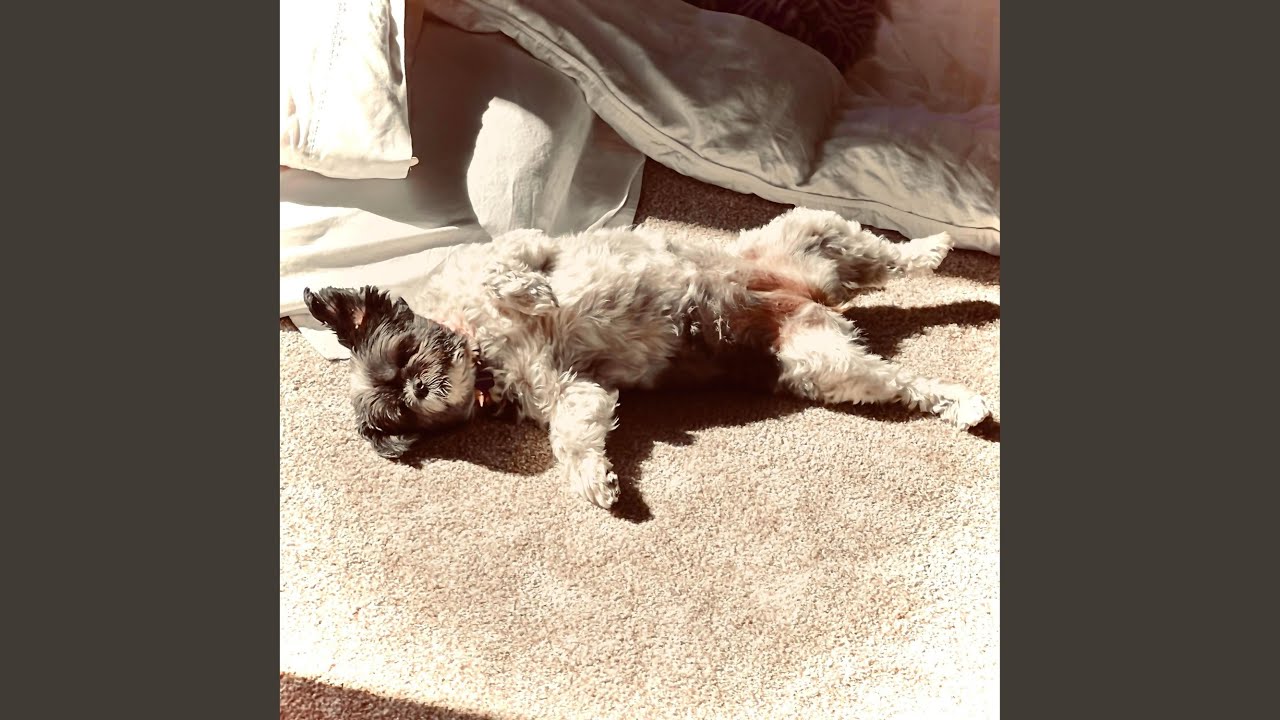 End the Reign (Remastered)