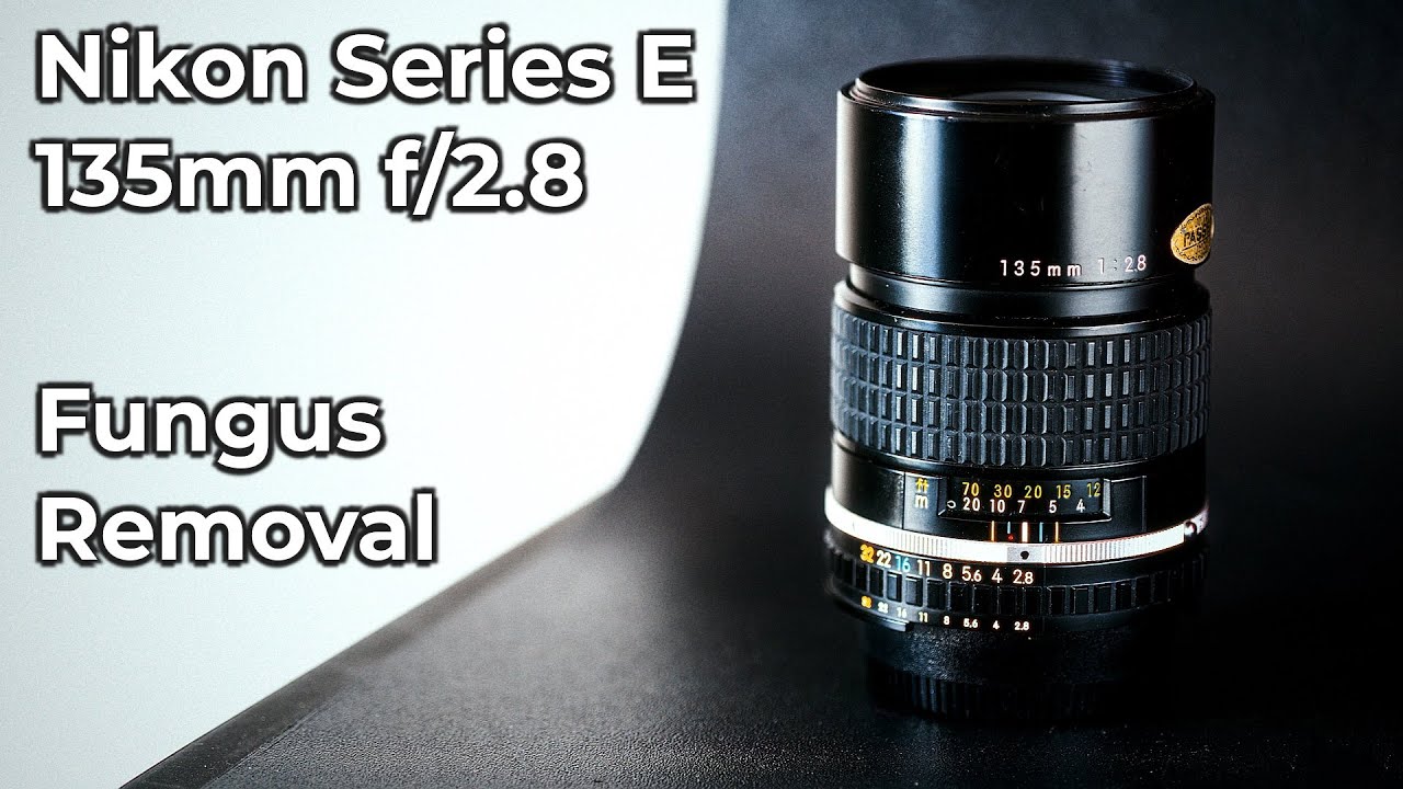 Nikon 135mm series E :  Fungus removal