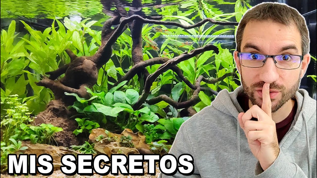 Así mantengo yo mis acuarios: Abonado, Cambios de agua, Luz