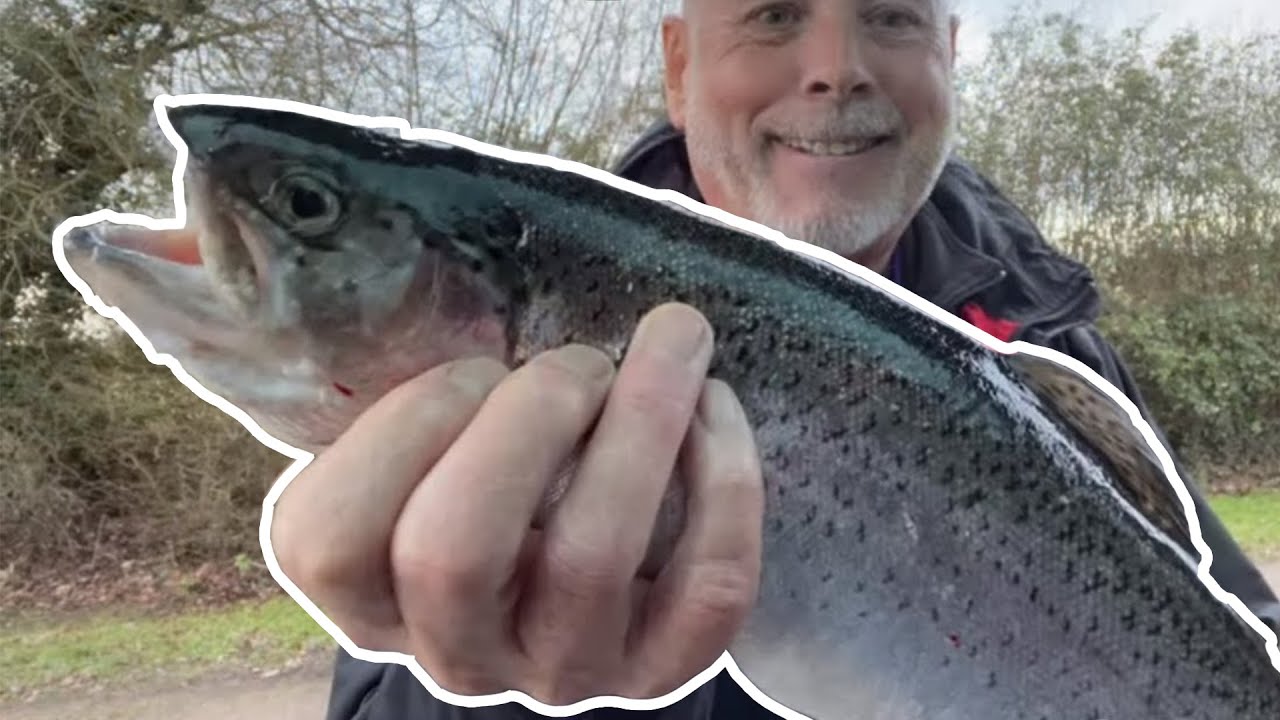 Trout fishing UK in Winter at Coltsford Mill - Any Monster Trout Out There?