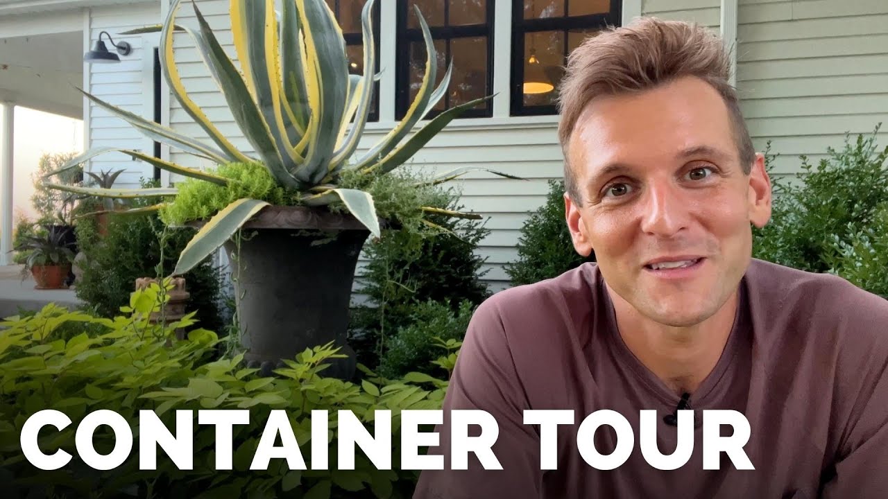 Summer Tour of My Potted Containers | Gardening with Wyse Guide