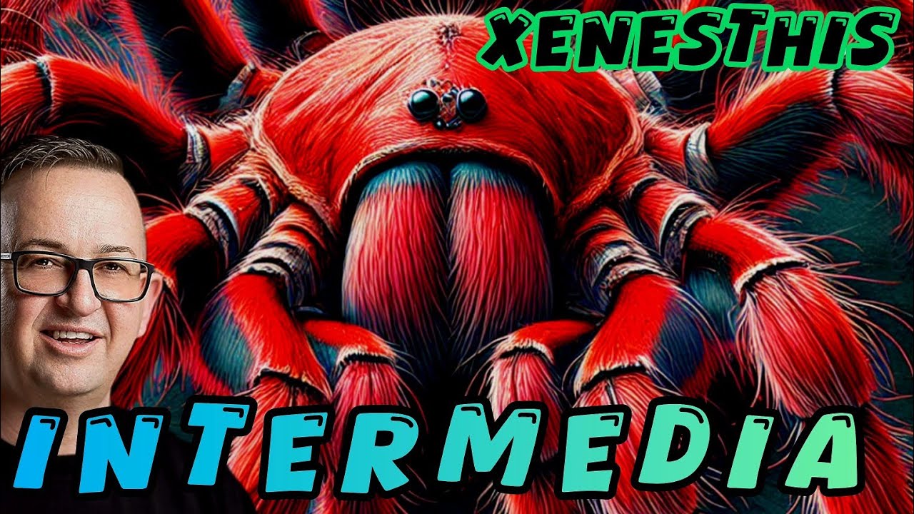 XENESTHIS INTERMEDIA - Najpiękniejszy Ptasznik w Mojej Kolekcji! @tollspiders