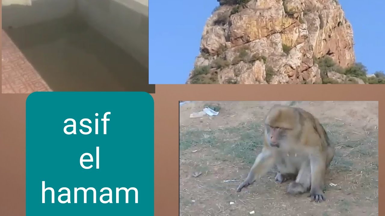 station thermale asif El hamam